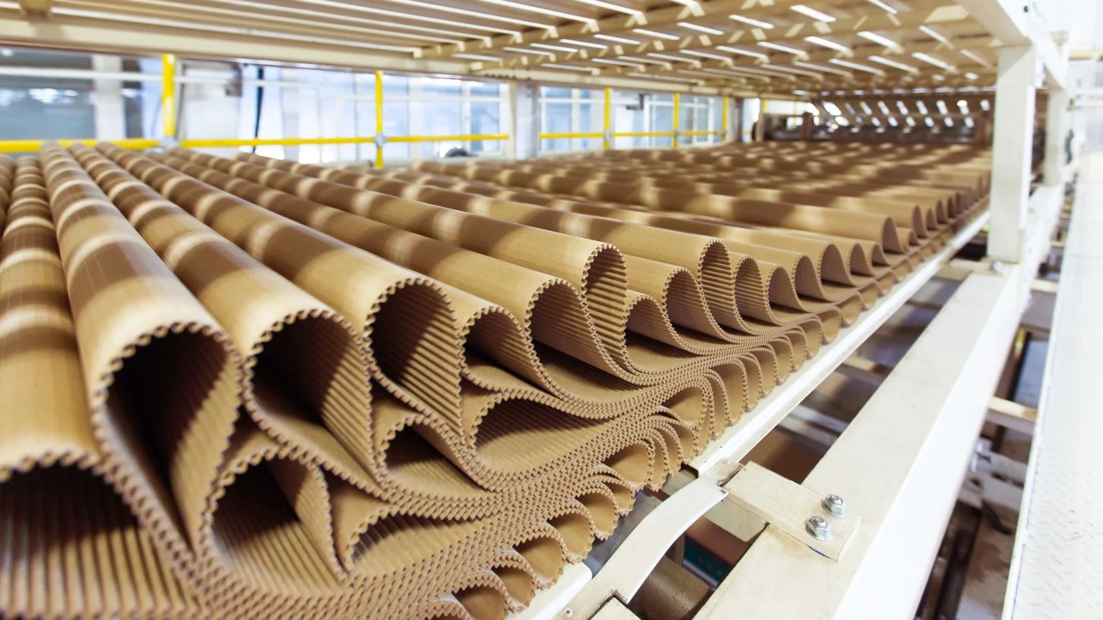 Nile Carton Factory